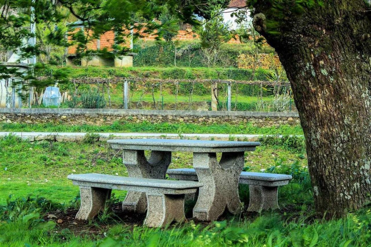 Viana Do Castelo - Amonde Village Casa P - Conforto Qualidade Natureza Bagian luar foto