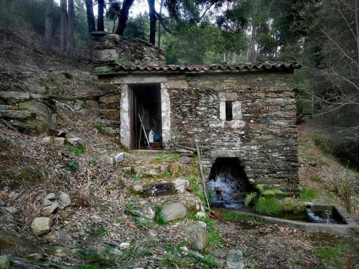 Viana Do Castelo - Amonde Village Casa P - Conforto Qualidade Natureza Bagian luar foto